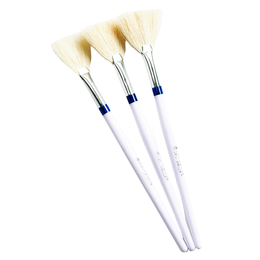 Waaierkwast (3/pk)