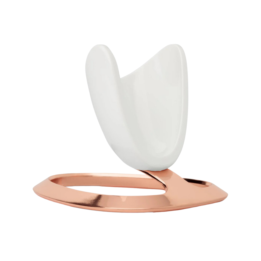 Houder voor de ageLOC LumiSpa iO Rose Gold