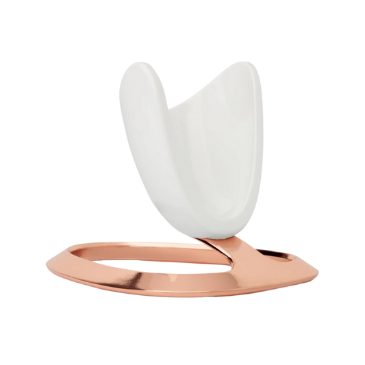 Houder voor de ageLOC LumiSpa iO Rose Gold